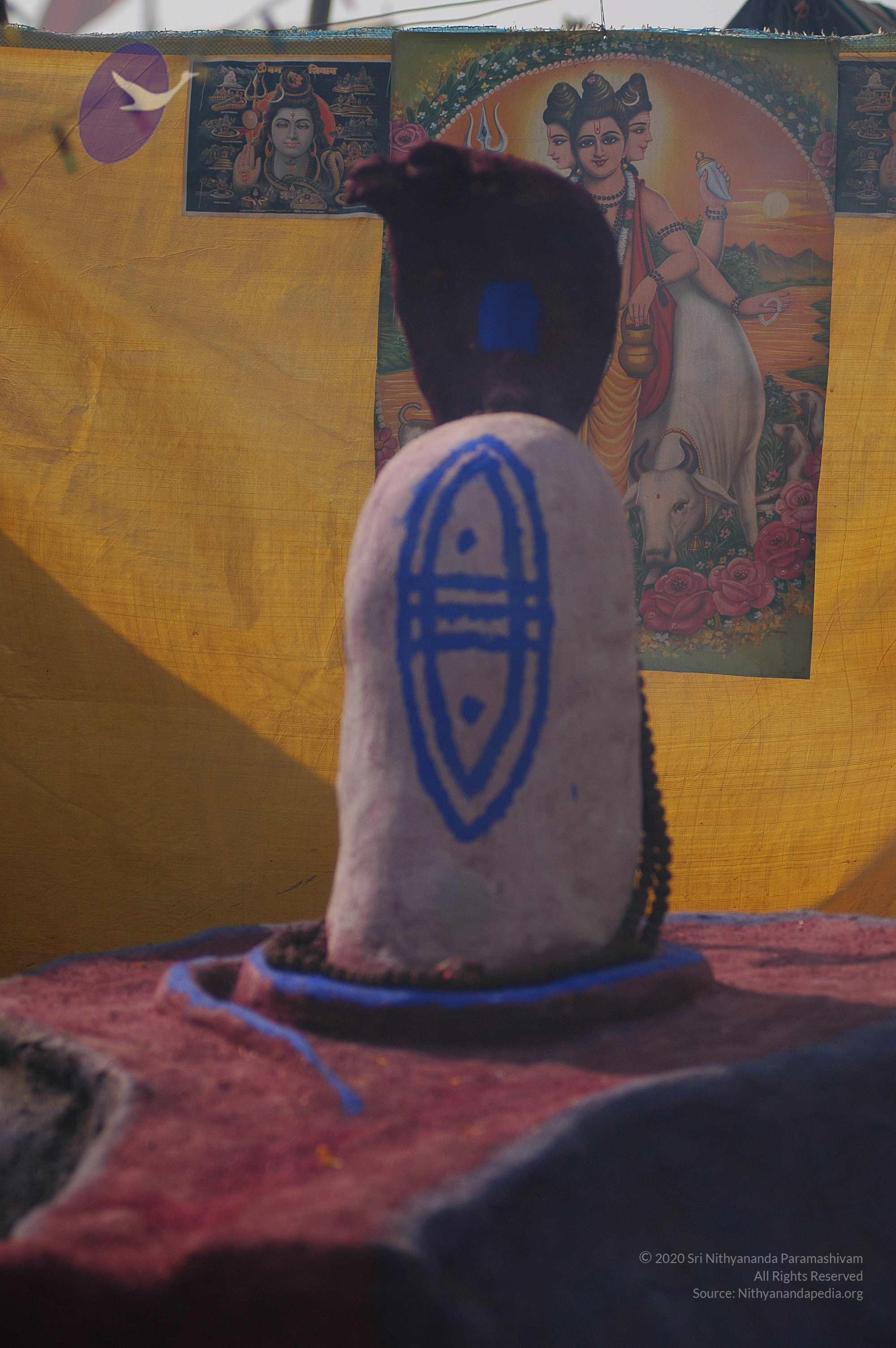 india-Ashram-Dic.30-31-1 -.05-06 197_CMP_WM